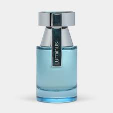 Luminous Pour Homme 100ml EDP by Rue Broca For Him