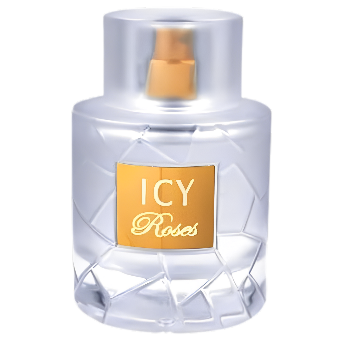 Icy Roses EDP 100ml By Fragrance World Unisex
