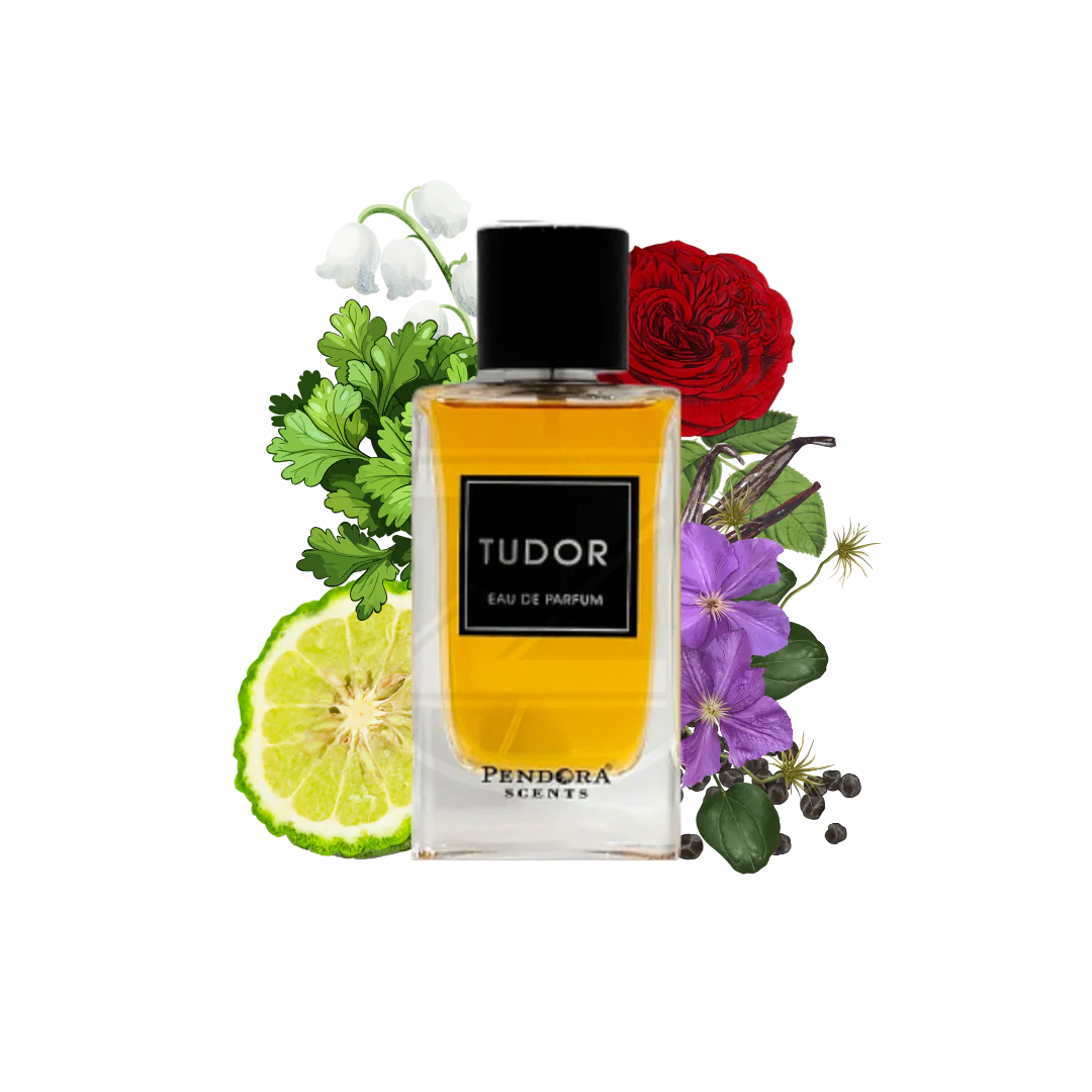 Tudor Perfume 100ml EDP Pendora Scents by Paris Corner Unisex
