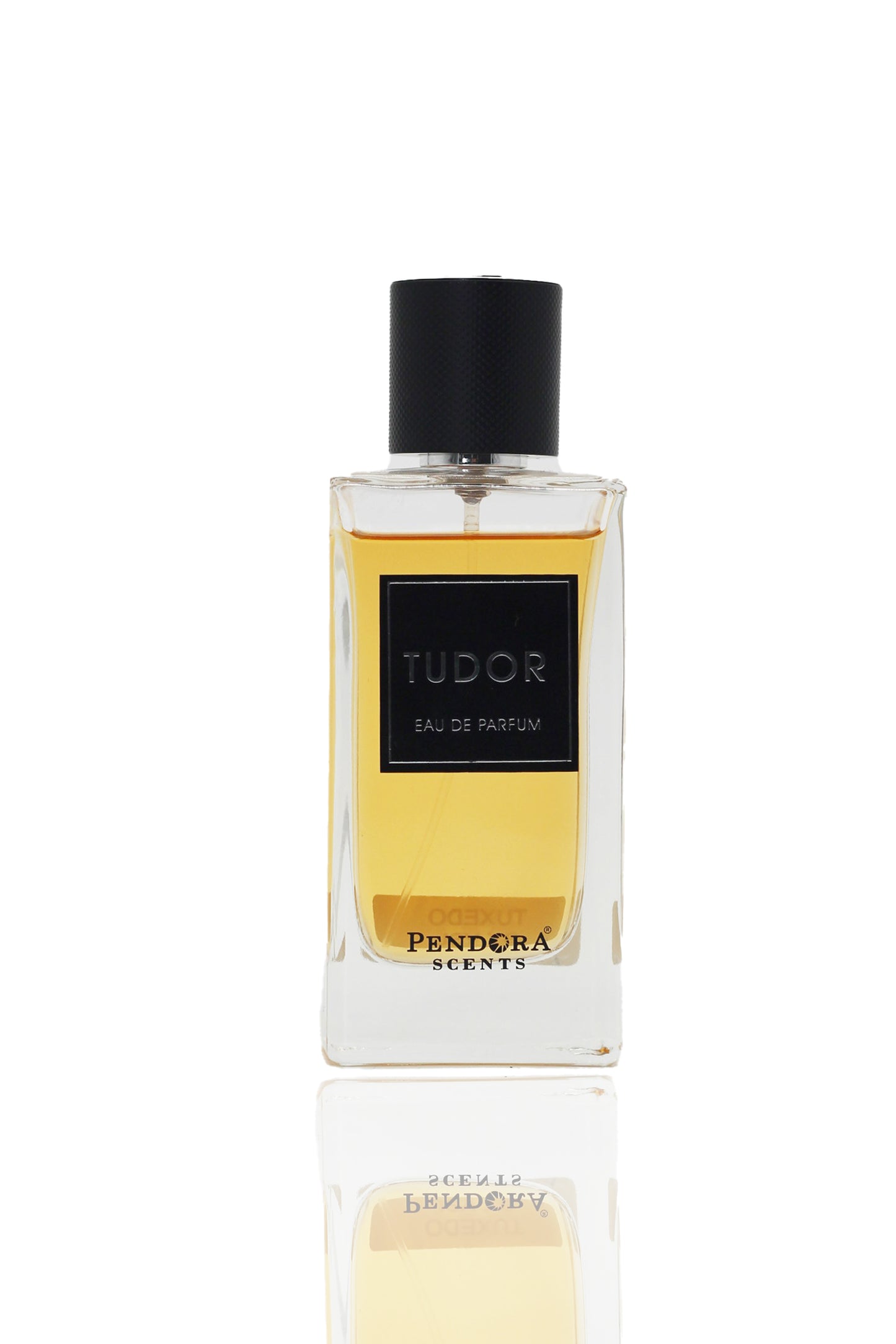 TUDOR EDP by PARIS CORNER 100ml