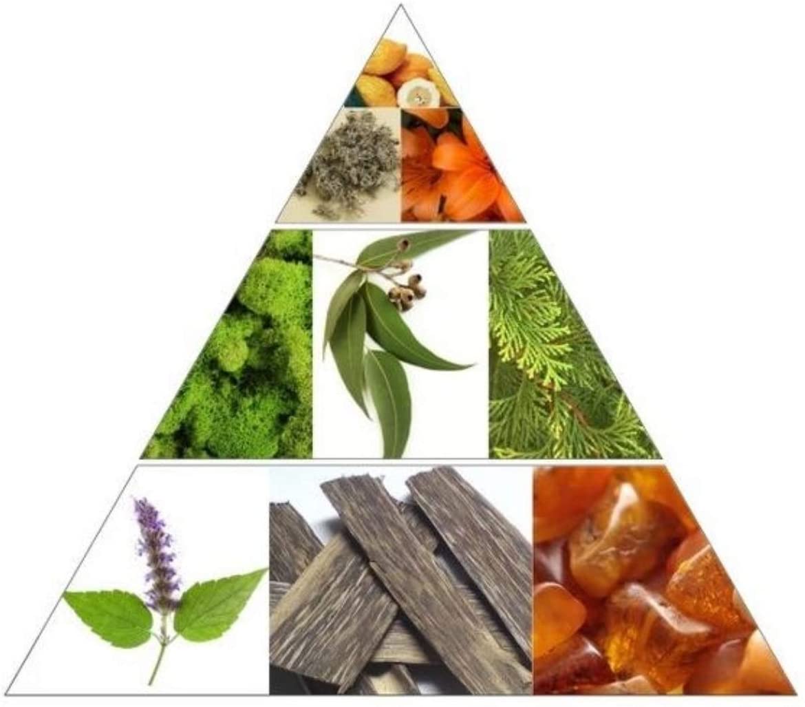 Lord Eau De Perfume 100ml