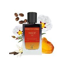 NORTH STAG NEUF IX Extrait De Parfum 100ml Unisex