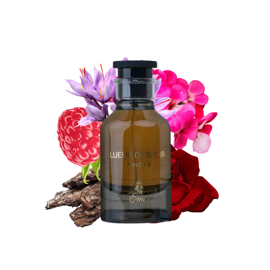 Lueur D'Espoir Ambre Emir 100ml EDP Unisex