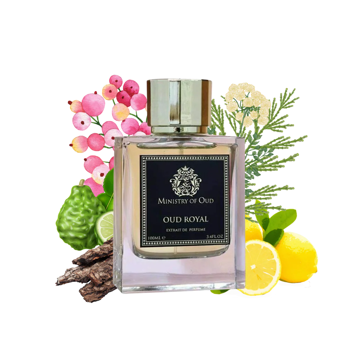 Minister of Oud Oud Royal Extrait 100ml by Fragrance World Unisex