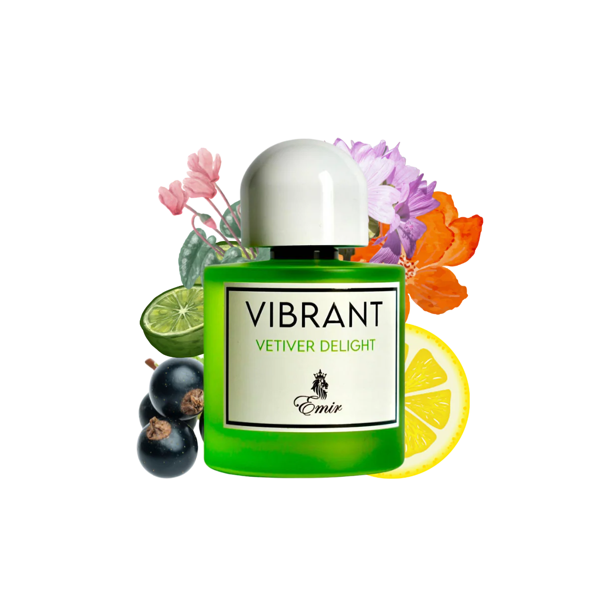 Vibrant Vetiver Delight Emir EDP 100ml by Paris Corner Unisex
