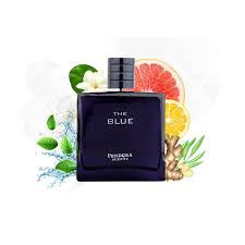 Blue Pendora Scents 100ml EDP For Him