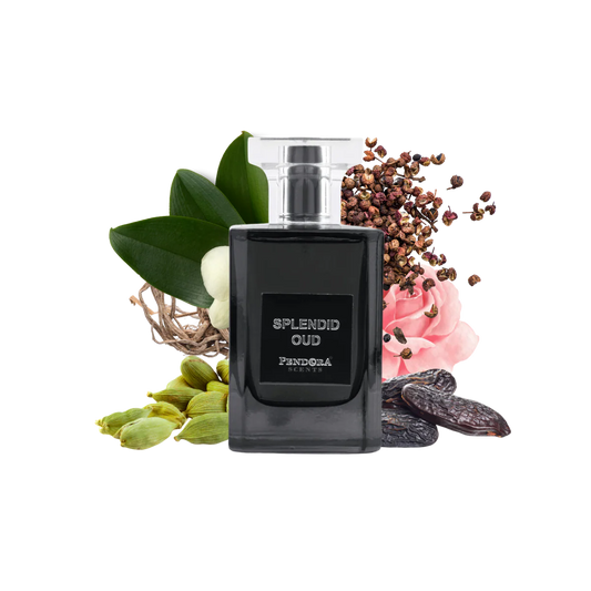 SPLENDID OUD 100ml EDP Unisex