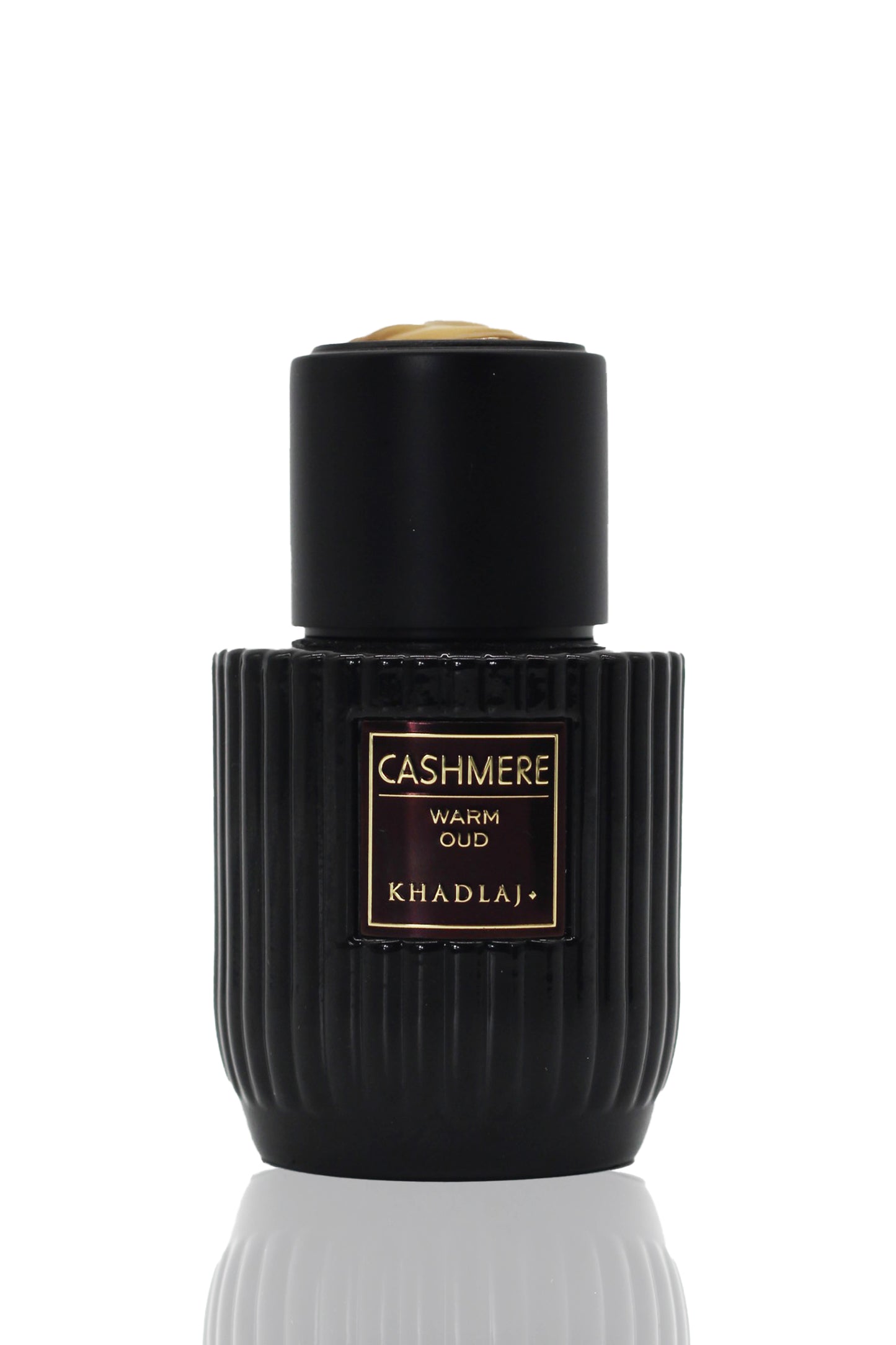 Cashmere Warm Oud 100ml EDP